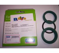 PARAOLIO + PARAPOLVERE FORCELLA SKF KAYABA 43mm KAWASAKI ZX-14R ZZR 1400 06 20