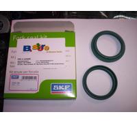 PARAOLIO PARAPOLVERE FORCELLA SKF KAYABA 48mm SWM MC 250 S RS 300 340 500 16 20