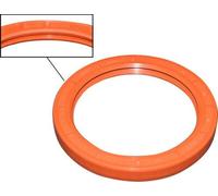 Paraolio per albero motore a volano in silicone a doppia labbra.