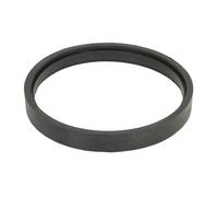 Paraolio, pompa di iniezione DT Spare Parts 4.20216