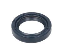 Paraolio, pompa di iniezione ENGITECH ENT020404