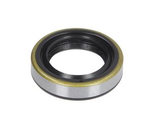 Paraolio, pompa di iniezione ENGITECH ENT220062