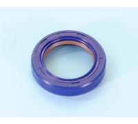 PARAOLIO PTFE MOTORE AM6 FRIZIONE
