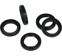 Paraolio puntine James Gasket Harley-Davidson Dyna Softail Touring 83162-51dl