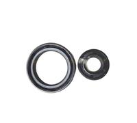 Paraolio scheletro TC da 10 pezzi 30x85x10 compatibile con