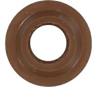 Anello di tenuta, stelo valvola REINZ 70-25227-10
