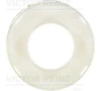 REINZ 70-41954-00 Paraolio valvole