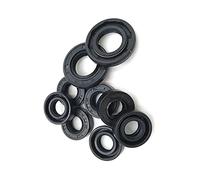 Paraolio Tc nitrile Coperto a doppio labbro con la giarrettiera Primavera, 25X34X5mm 2Pcs