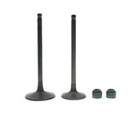 Paraolio valvola stelo aspirazione valvola for 250CC DB 36 250(1pairs)