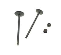 Paraolio valvola stelo aspirazione valvola for CG160 CG 160 160cc