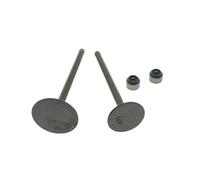 Paraolio valvola stelo aspirazione valvola for XMAX 250 YP250R VP250 VP300