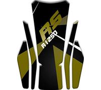 PARASERBATOIO ADESIVO RESINATO EFFETTO 3D compatibile con B.M.W. R1250 RS v1