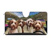 Parasole Auto Lagotto Romagnolo Parasole per Parabrezza Alluminio Auto Coperture Portabile Parasole per Parabrezza Auto per SUV, Auto, Camion M