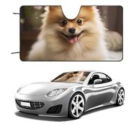 Parasole per parabrezza auto, con simpatico cane Pomerania, mantiene fresco l'interno dell'auto, 129,5 x 71,1 cm, parasole pieghevole per finestrino anteriore, scudo termico per SUV, camion, blocca i