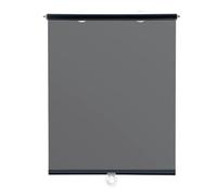 Parasole Retrattile Per Finestrino Anteriore Parabrezza Telescopico Ventosa Trasparente Ad Alta Definizione(55x150cm)