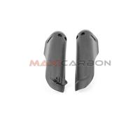 Parasteli carbonio Ducati Hypermotard 698 Mono / Front leg guards carbon