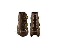 PARATENDINI PARANOCCHE EQUESTRO EVOLUTION