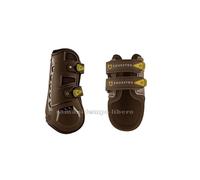 PARATENDINI PARANOCCHE EQUESTRO EVOLUTION