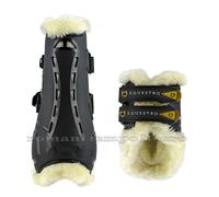 PARATENDINI PARANOCCHE EQUESTRO EVOLUTION CON AGNELLINO