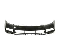 Paraurti anteriore BLIC 5510-00-9549900P