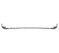Paraurti Listello Decorativo Anteriore Per: TOYOTA RAV4 IV 02.16-10.18
