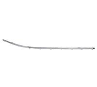 Paraurti Listello Modanatura Anteriore Destro per: BMW 7 E65, E66