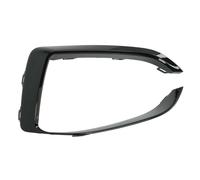 Listello decorativo anteriore Dx 6502-07-0073924SP BLIC per BMW 1