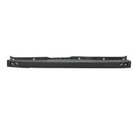 PARAURTI POSTERIORE COMPATIBILE CON FORD TRANSIT, 19-