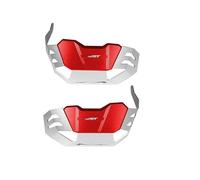 Paraurti Protezione Testata Cilindro Moto R1200R R1200GS R 1200 GS RnineT NineT 2014-2020 Motore Scudo(021)