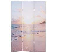 Paravento divisore doppia immagine HWC-A83 3 pannelli - 121x180cm oceano