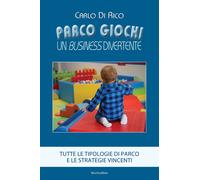 Parco giochi. Un business divertente. Tutte le tipologie di parco e le strategie