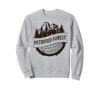 Parco Nazionale della Foresta pietrificata Felpa