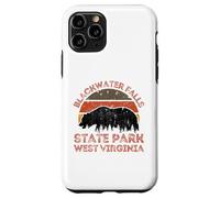 Parco statale di Blackwater Falls Custodia per iPhone 11 Pro
