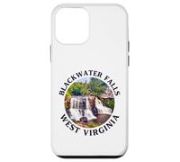 Parco statale di Blackwater Falls Custodia per iPhone 12 mini