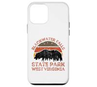 Parco statale di Blackwater Falls Custodia per iPhone 12 mini