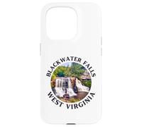 Parco statale di Blackwater Falls Custodia per iPhone 15 Pro