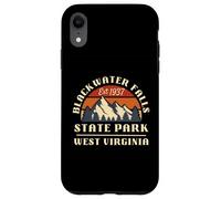 Parco statale di Blackwater Falls Custodia per iPhone XR