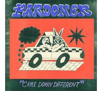 Pardoner - Came Down Different