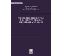 Pareri di diritto civile e di diritto penale illustrati a 360 gradi