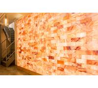 PARETE DA ASSEMBLARE IN MATTONI DI PURO SALE ROSA DELL'HIMALAYA KIT 1MQ