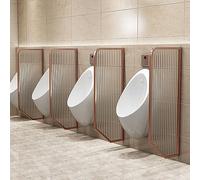 Parete divisorio per orinatoio per una maggiore privacy e protezione nei bagni pubblici