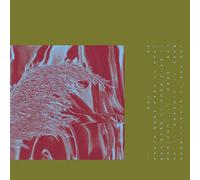 Pariah - HERE FROM WHERE WE ARE