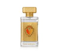 Paris Corner Fatal Embrace Eau de Parfum (unisex) 100 ml