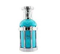 Paris Corner Reham Wild Mineral Eau de Parfum 100 ml