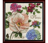 Paris Fleurs Counted Cross Stitch Kit-10"X10" 14 Count