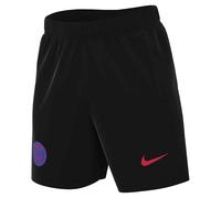 Paris Saint-Germain Strike Third Nike Dri-Fit Total 90 Pantaloncini da Calcio, da Uomo, HM3374