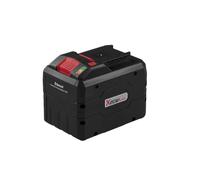 Parkside PAPS 2012 Batteria Smart 20V 12Ah Litio-ione