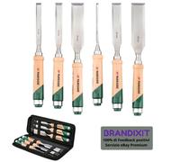 PARKSIDE Set Scalpelli Per Legno 6 Pezzi Ghiera in Acciaio di Alta Qualità