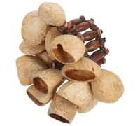 Parliky Braccialetto Percussione Gusci di Noce Africani, Strumento Portatile Leggero per Danza, Yoga e Accompagnamento, Comodo senza Mani per Uso Outdoor e Viaggi