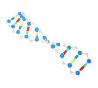 Parliky Dna Doppia Kit Didattico Scientifico Interattivo per Studenti Aiuto Apprendimento Biologia e Struttura Molecolare con Collegabili per Educativo